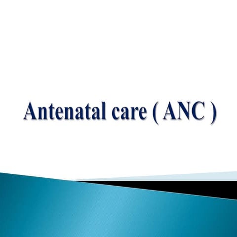 ANC_guideline-presentation.pptx