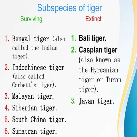 Project Tiger | PPTX