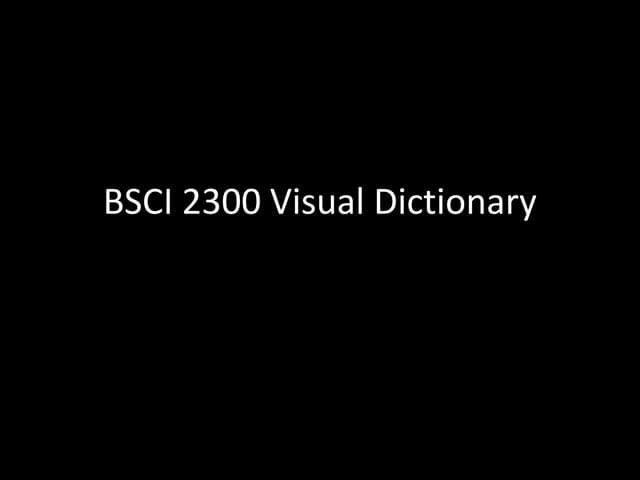 Visual Dictionary - Sp10lockset