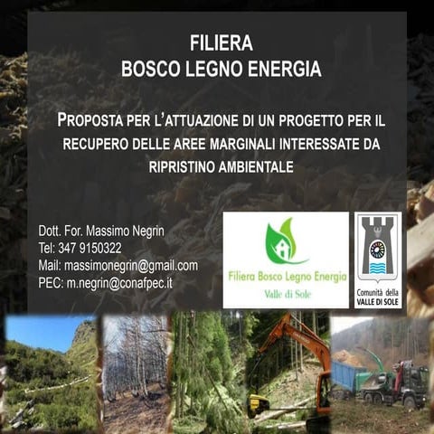 Il recupero delle aree marginali del bosco - Filiera Bosco - legno - energia della Valle di Sole