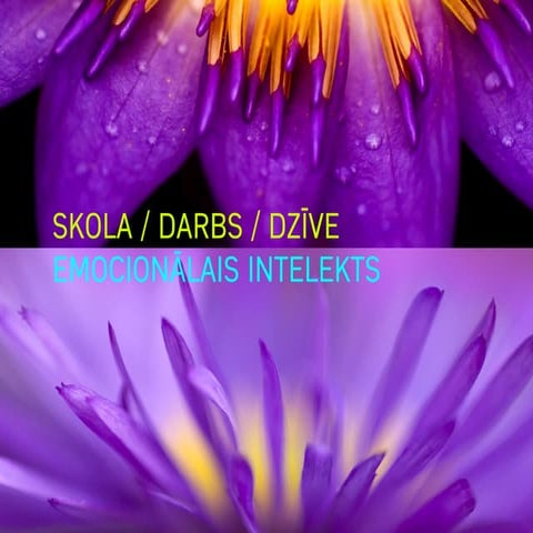 Zuarguss, Emocionālā intelekta apmācības bērniem, skolotājiem, vecākiem.