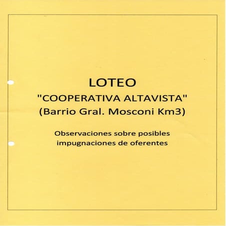 Informe Loteo Altavista