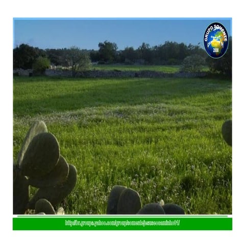 Vá E Compre O Que Precisa