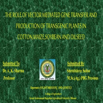 genne transfer and transgenic cotton soybean corn mustard