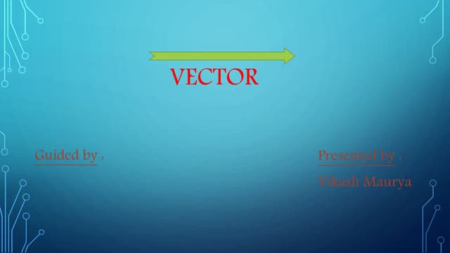 Vector
