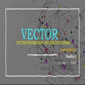 Vector