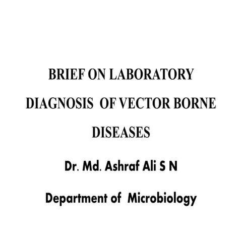 Vector borne disease presentation, final presentation