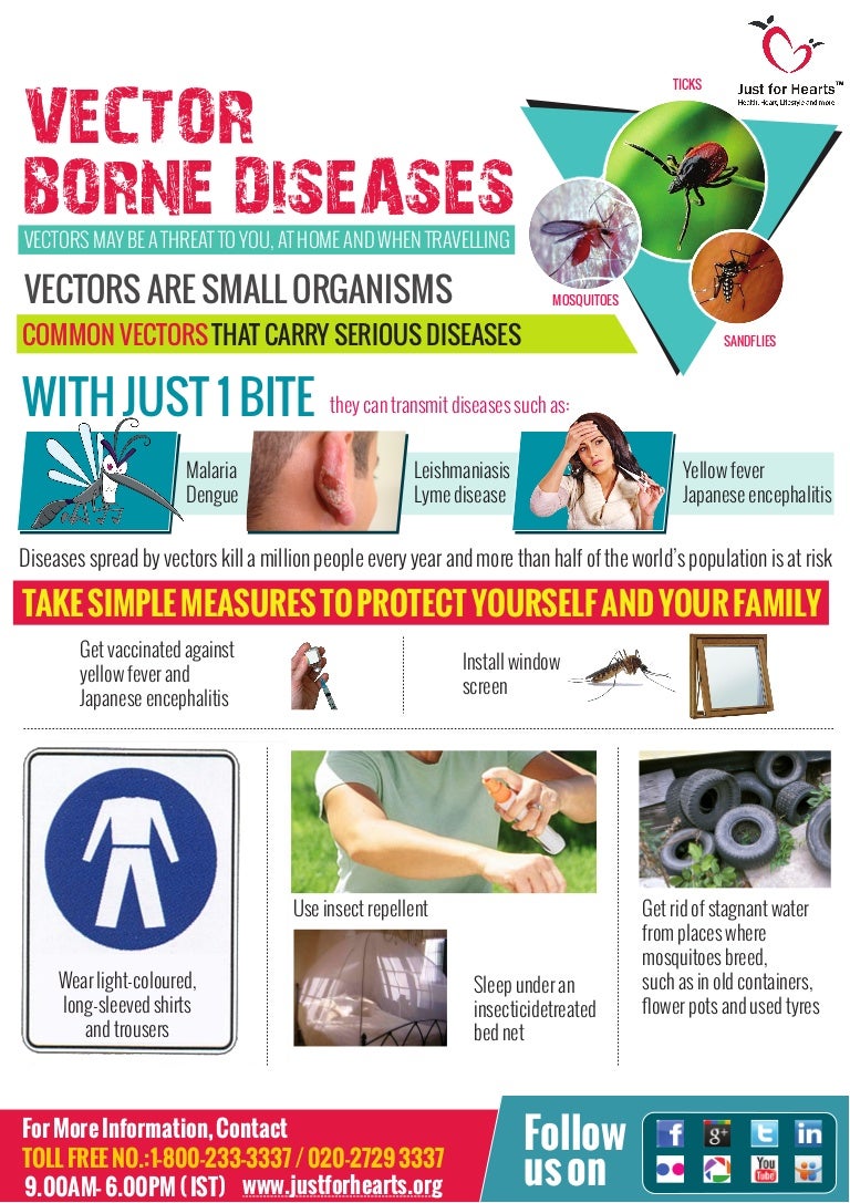 Tips on Vector borne diseases