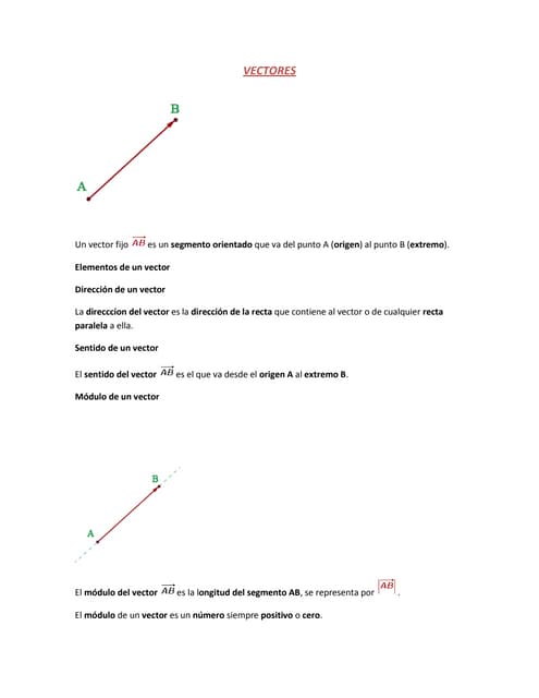 Tipos de vectores | PDF