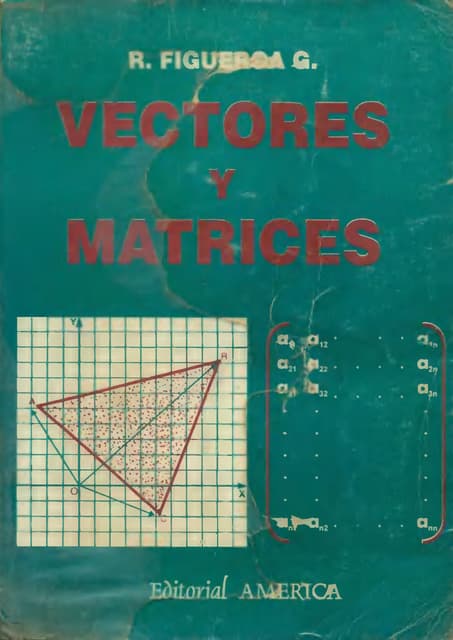 Libro: Vectores y Matrices. Autor: ...