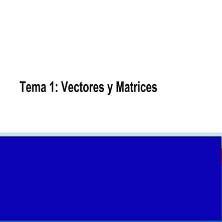 vectores y matrices.pdf