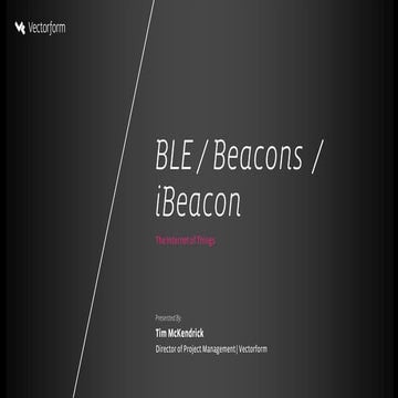 Vectorform, Tim Mc Kandrick