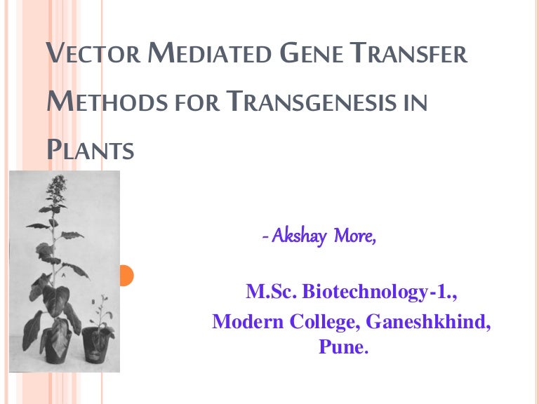 Vector mediated gene transfer methods for transgenesis in Plants.