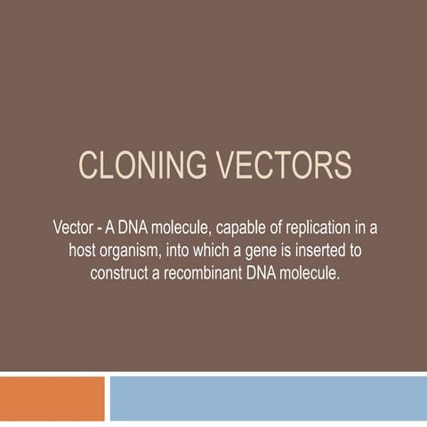 Vectors
