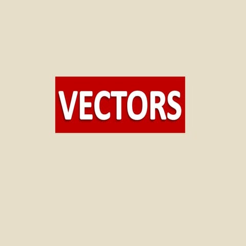 Vectors.pptx