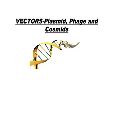 Vectors plasmid, phage and cosmids