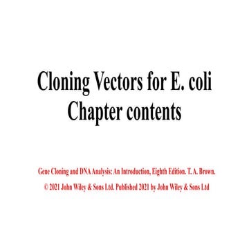 Vectors a complete and breif explaintaion