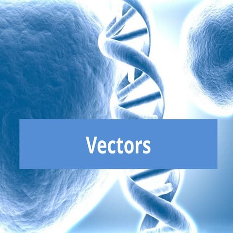 Comprehensive Overview of Vectors, Plasmids, and Bacteriophages in ...