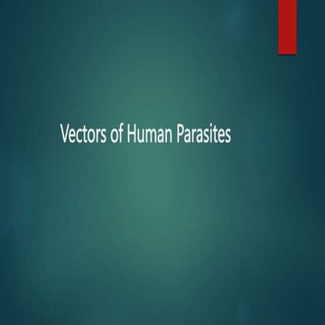 Tips on Vector borne diseases | PDF