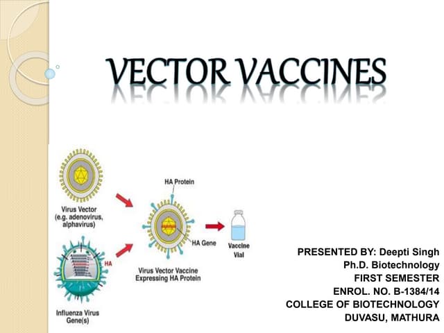 Vector vacccine