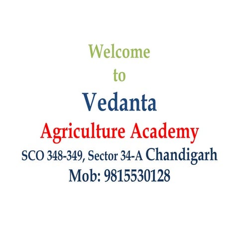 BSc Agriculture Scope and Salary in India 2025: Career Growth Explained ...
