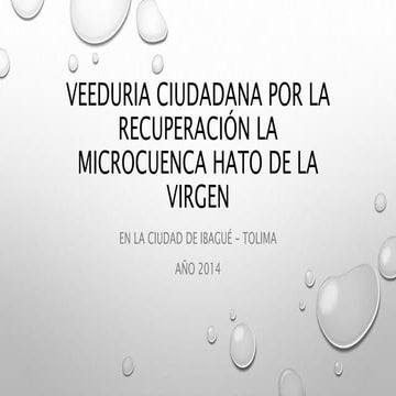 Veeduría ciudadana por la recuperación la Microcuenca Hato de la Virgen