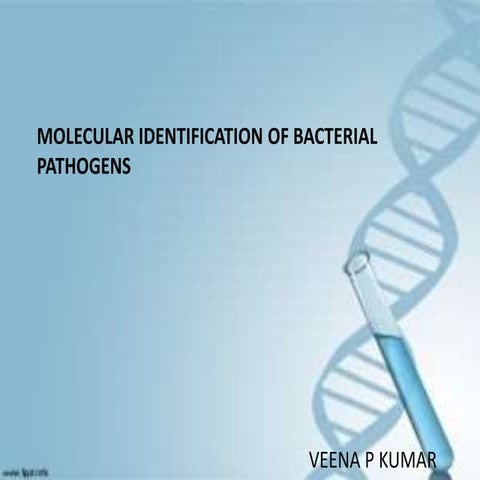 molecular microbiology