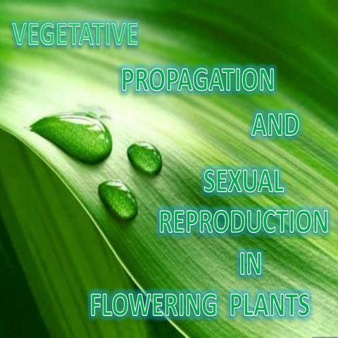 Vegeative propagation and sexual repro. in flowers