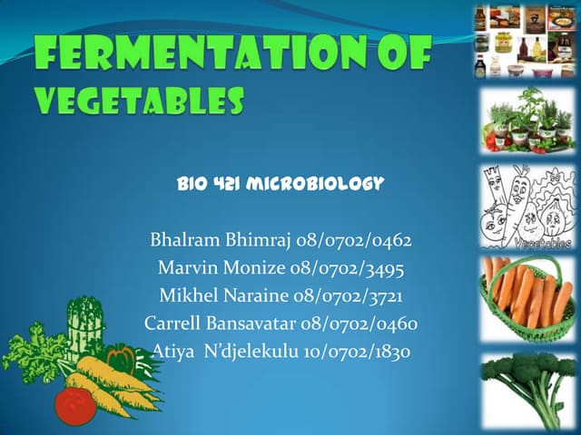 Vegetable fermentation