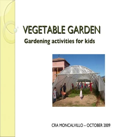Vegetable Garden