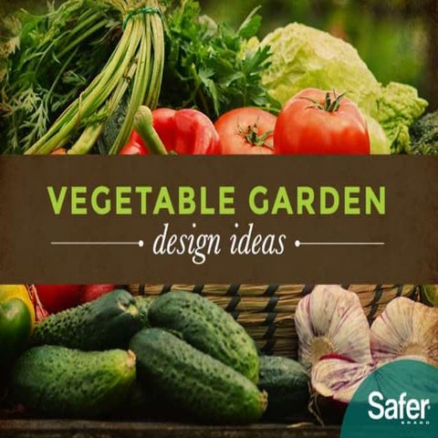 Vegetable Garden Design Ideas