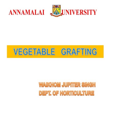 Vegetable grafting