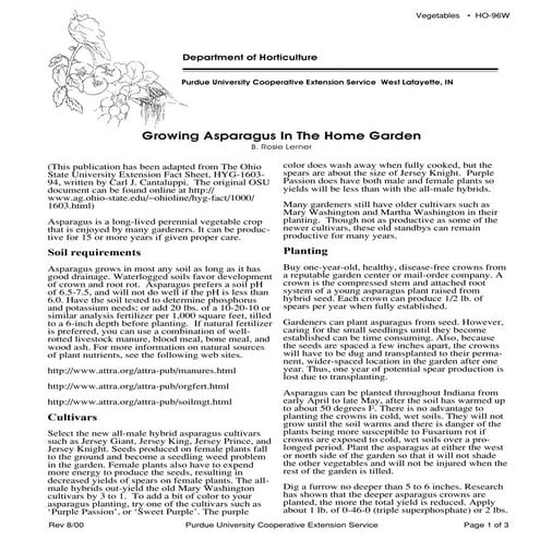 Vegetables. growing asparagus in the home garden