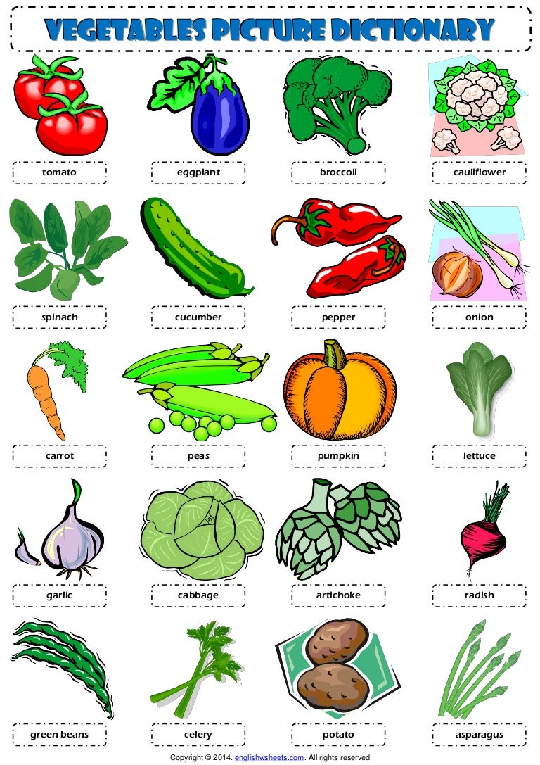 vegetables esl picture dictionary worksheet