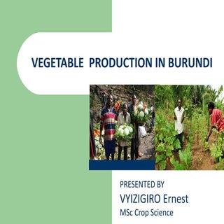 Vegetables growth in burundi