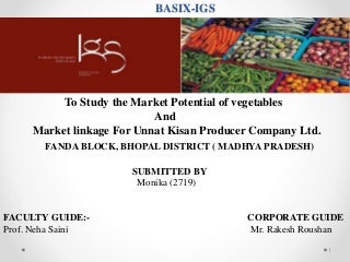 fpo rana monika slides