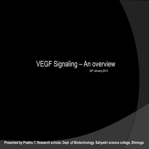 Vegf signaling