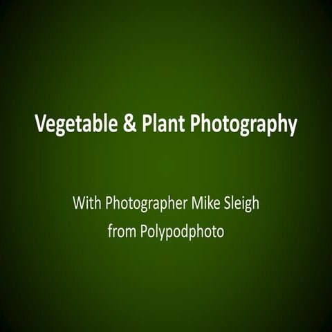 Vegetable and plant photography