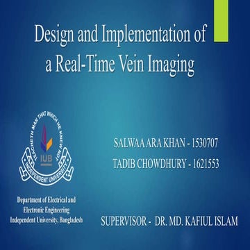 Real-time Vein Imaging