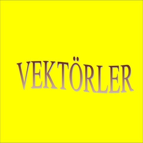 Vektörler 1