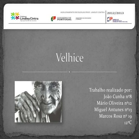 Velhice | PPTX