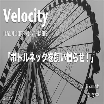Velocity - Lean, Velocity and Anti-Fragile  「ボトルネックを飼い慣らせ！」