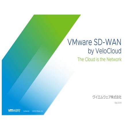 Velocloud introduction for wakamonog