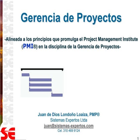Introducción a la Gerencia de Proyectos