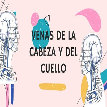 Venas de la cabeza y cuello.pptx
