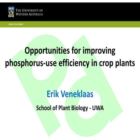 Opportunities for improving phosphorus-use efficiency in crop plants