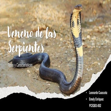 Veneno de las Serpientes 