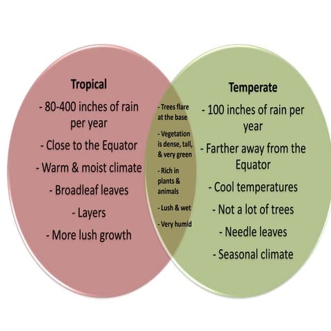 Venn Diagram On Pp | PPTX