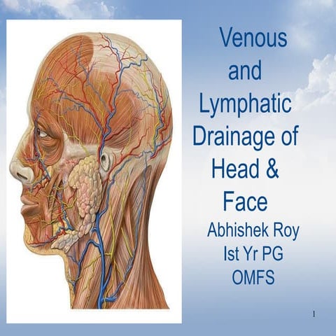 Venous and lymphatic drainage of head
