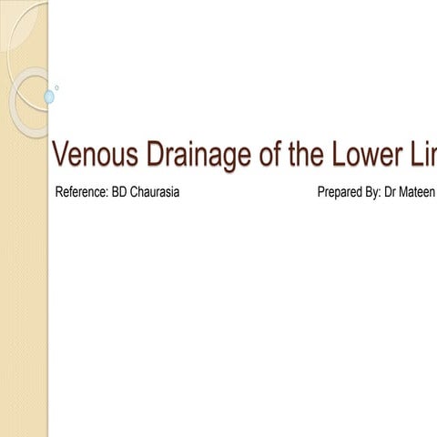 Venous drainage of the lower limb